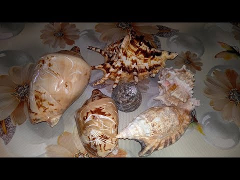 АНАПА ЖК Горгиппия // По просьбе одной из подписчиц