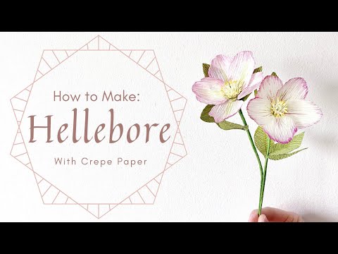 *Free Template* DIY WINTER ROSES- HELLEBORE with Crepe Paper