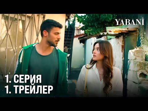 Трейлеры Дикий