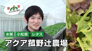 【生産者紹介01】水菜・小松菜・レタス／アクア 菰野辻農場