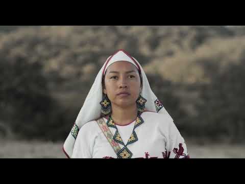 Hikuri / Trailer. Cortometraje / Short film