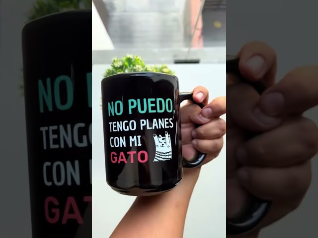 Vídeo relacionado con Newseny Taza Graciosa de Gato Borde 350ml - Trabajo Duro para que Mi Gato Viva Mejor - Regalo Humor Sarcástico (Ni Me Hables Buenos Dias)