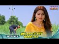 Jai Vat Savitri Mayyiya प्रीति शुक्ला ने बचाई किसकी �