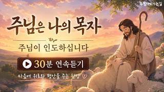 CCM🎵 주님은 나의 목자 | 주님이 인도하십니다 | 30분 연속듣기 | 마음에 위로와 평안을 주는 찬양 |  |Worship [주함께가는길]  #평안찬양 #위로찬양 #시편23편