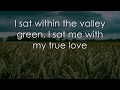 The Wind that Shakes the Barley - LYRICS