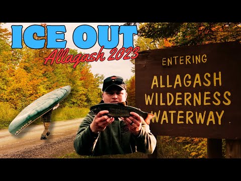 Native Trout Fishing in The North Maine Woods (Just After Ice Out // 2023)