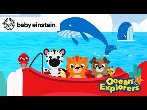 Ocean Exploring with Mama and Baby Whales! | World Ocean Day 🌊 | Baby Einstein | Learning Show