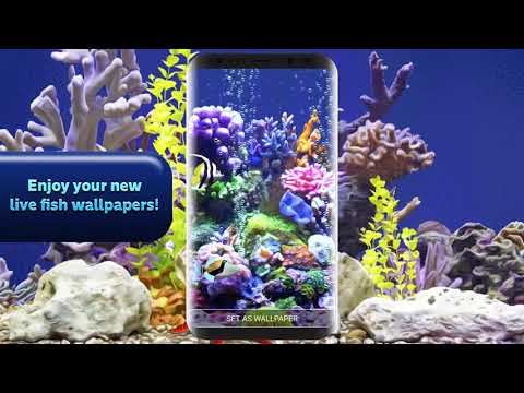 3d Aquarium Live Wallpaper Video