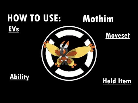 Competitive Guides- How To Use Mothim