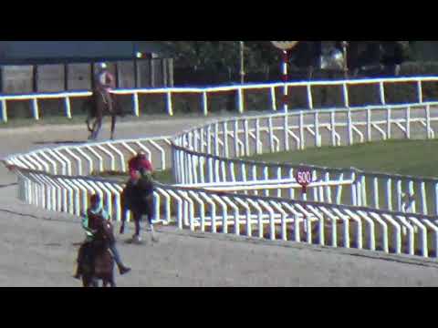 SUPER SEIT(arg)-REVISTA INVASOR