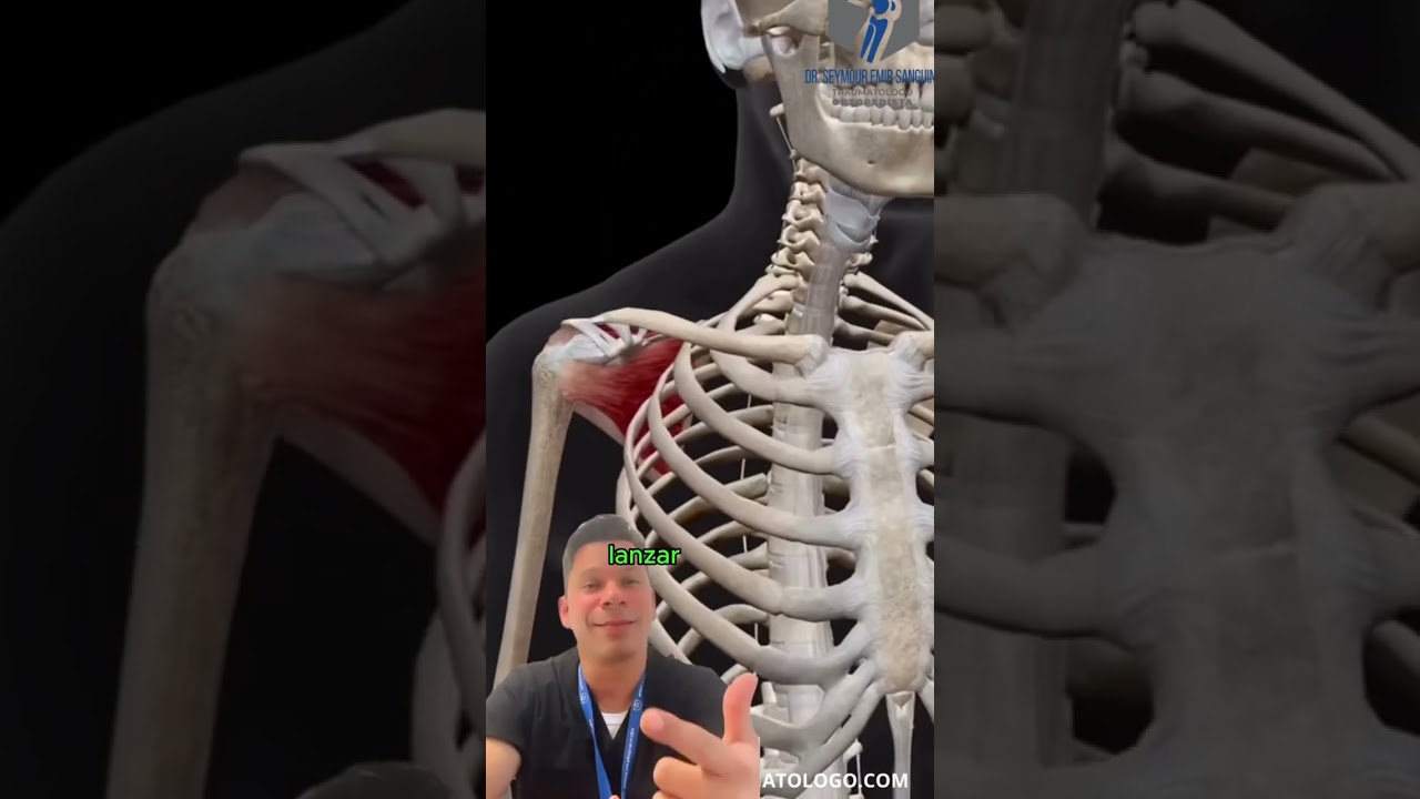 Seymour Sanguino Ojeda-17