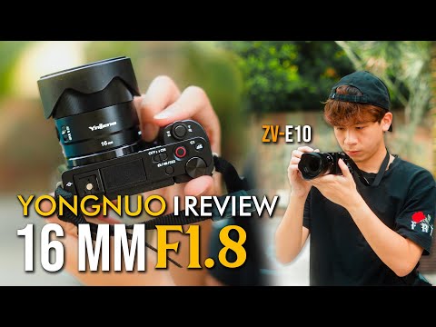 Video thumbnail for Video Review 3
