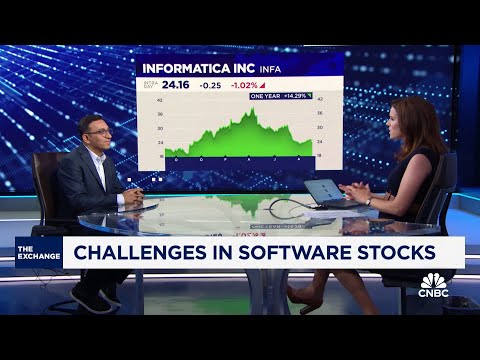 Informatica CEO Amit Walia on Salesforce