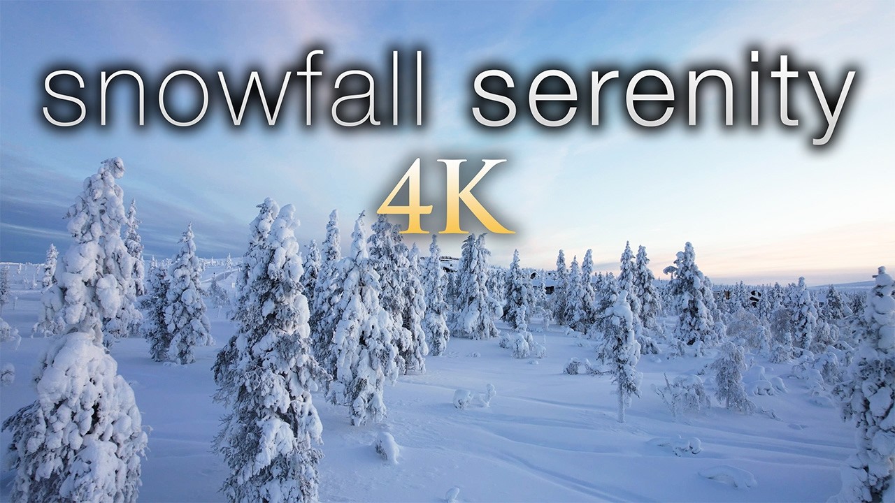 Feel the Winter Magic | 4K Ambient Film