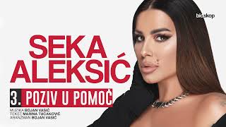 Kadr z teledysku Poziv U Pomoć tekst piosenki Seka Aleksić
