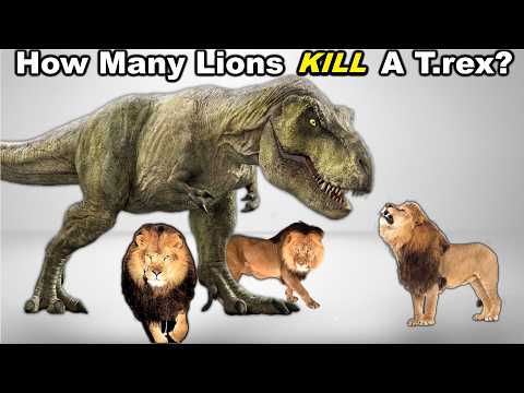 How Many Lions Does It Take To DEFEAT a T.rex?