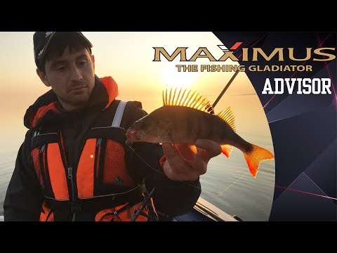 22ML 5-25 грамм