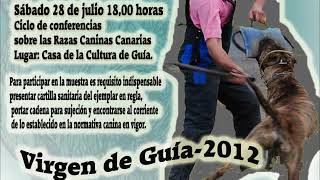 preview picture of video 'Presa Canario Muestra - Guia 2012 - Trabajo'