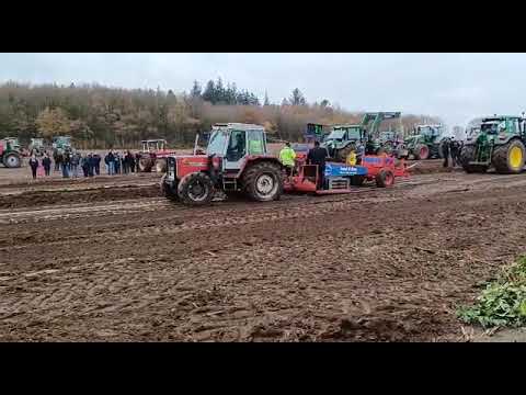 Wedelspanger Trecker Treck 2021 Massey Ferguson 294 AS zieht 42,2 m