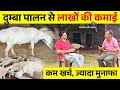 दुम्बा पालन सबसे फायदेमंद Successful Dumba Farming In In