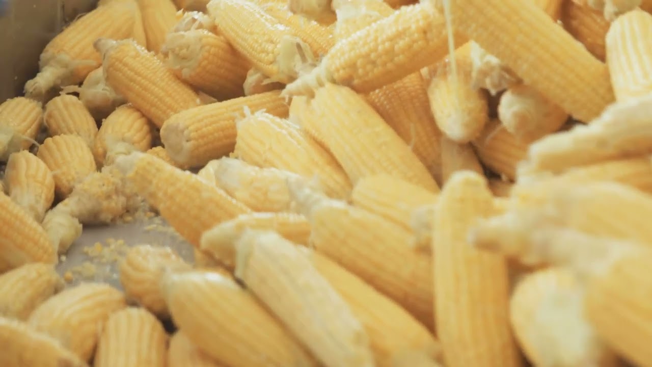 Corn Refiners Association Explains Corn Bioeconomy