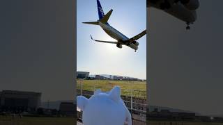ミニフブちゃんと大阪国際空港 #伊丹空港 #飛行機 #伊丹空港千里川土手 #aviation #着陸 #ばずりたい  #白上フブキ