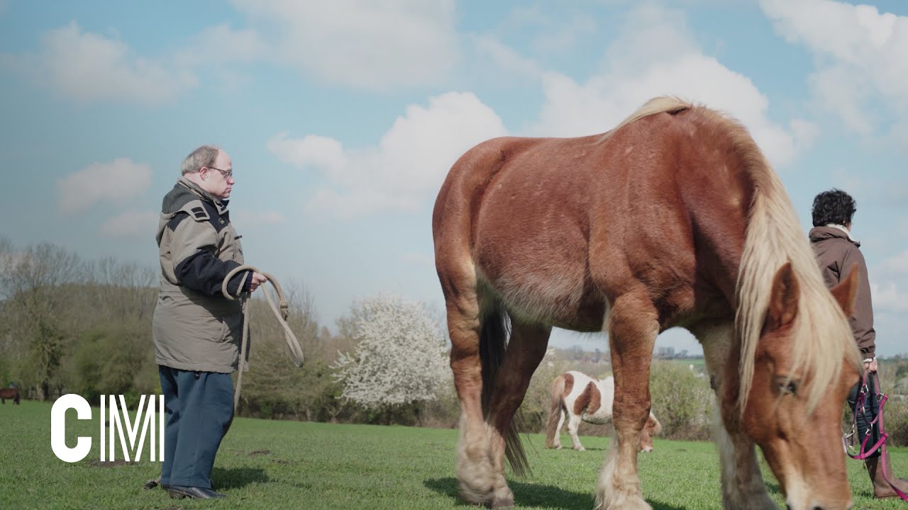 Healed by horses