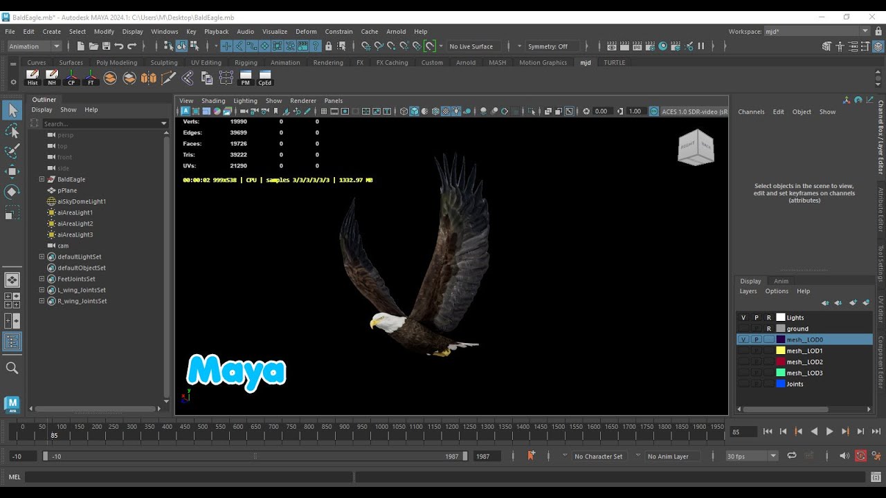 &Aacute;guia careca animada realista Modelo 3D