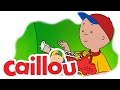 Caillou Butterfly Surprise S05E26 Cartoon For Kids