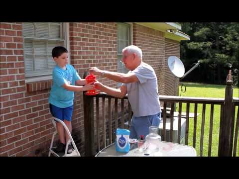 Animal Austin feeds hummingbirds