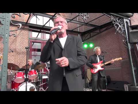 The Red Strats - Please don't tease