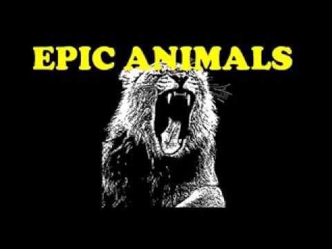 Martin Garrix vs Sandro Silva & Quintino - Epic Animals (dj jonhy remix) PREVIEW