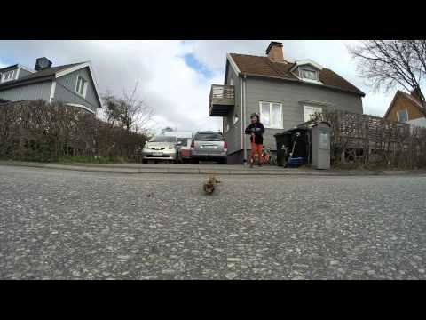 Spark på Valkyriavägen