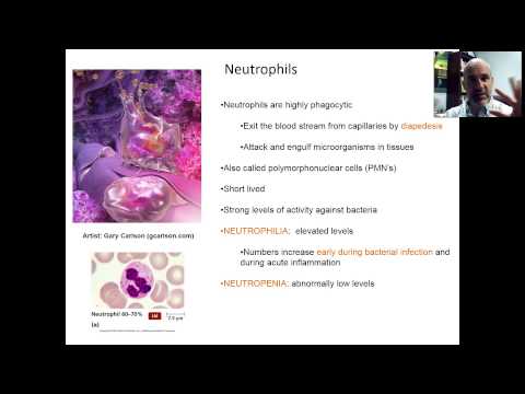 BIO 220 DISTANCE - CHAP 12 - VID 4 - OVERVIEW OF CELLULAR WEAPONRY