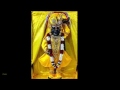 Jay Shree Vallabh Jay Shree Vitthal Jay Yamuna Shreenathji