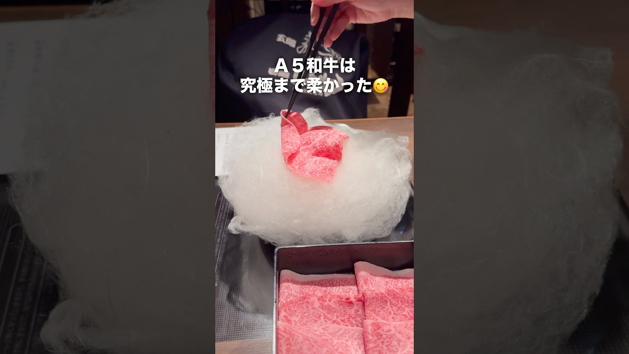 日本一古い『わたあめすき焼き店』の焼き方…美味すぎた！　#武蔵別邸　#すき焼き #銀座