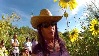 Come tour our UVPCGG Virtual Tour of Kitchen Garden 2017