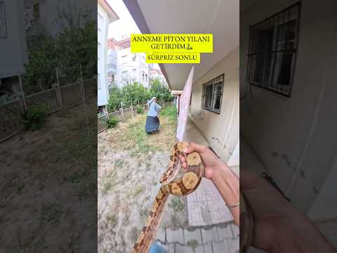 Anneme piton yılanı getirdim sonunu kaçırma🐍😂# #anne #keşfet #komedi #keşfetteyiz #yılan #motor