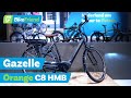 Gazelle Orange C8 HMB 2024