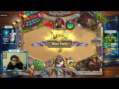 Hearthstone Amaz Playing Paladin Arena With 2 Legendaries