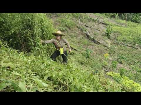 Kerja si Sumandak Sabah!!