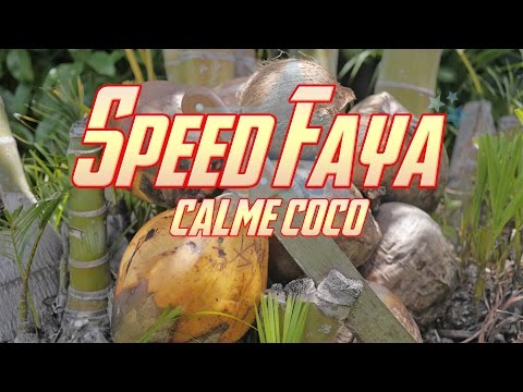 Speed faya feat. DJ Tahir & DJ Illan's - Calmé coco