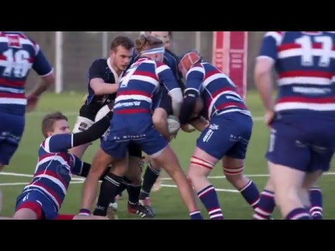 12630367 1661600537461854 179520092 n