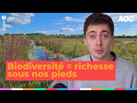 La biodiversité, une richesse sous nos pieds - Alors on change