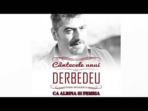 1 Ovidiu Niculescu Ca albina si femeia