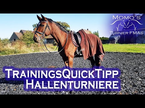 Pole work for RIDEABILITY & STRENGTH | Riding training tips