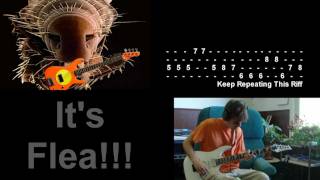 Red Hot Chili Peppers - Annie Wants a Baby (Cover) Lyrics Guitar/Bass Tabs
