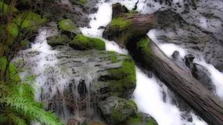 preview picture of video 'Fluid Rush - Rodney Falls & Pool Of Winds, Washington'