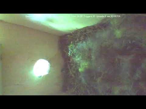 Het is vollop lente in het Slimste Vogelhuisje van Nederland