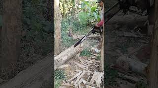 Download lagu Suara Gergaji mp3 Download lagu Suara Gergaji mp3